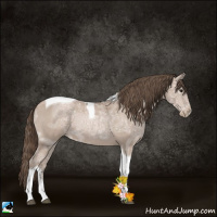 Horse Color:Black Ice Pearl Tobiano 