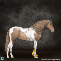 Horse Color:Liver Chestnut Pearl Tobiano Rabicano 