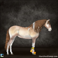 Horse Color:Red Onyx Pearl Tobiano 