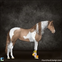 Horse Color:Liver Chestnut Pearl Tobiano