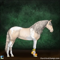 Horse Color:Gold Champagne Pearl Tobiano 