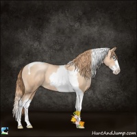 Horse Color:Gold Champagne Pearl Splash Tobiano