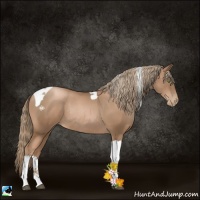 Horse Color:Liver Chestnut Pearl Tobiano Rabicano 