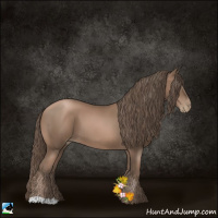 Horse Color:Black Pearl