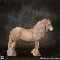 Horse Color:Liver Chestnut Pearl 