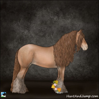 Horse Color:Brown Pearl