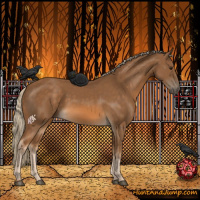 Horse Color:Chocolate Palomino 