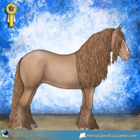 Horse Color:Black Pearl Sabino Rabicano 