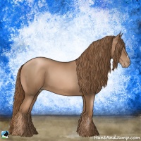 Horse Color:Liver Chestnut Pearl