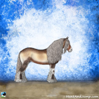 Horse Color:Silver Brown Onyx Rabicano 
