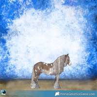 Horse Color:White Spotted Silver Black Sabino 