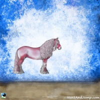 Horse Color:Watercolor Silver Brown Onyx 