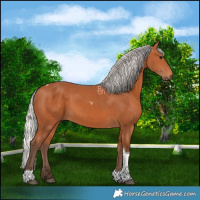 Horse Color:Silver Bay Tobiano