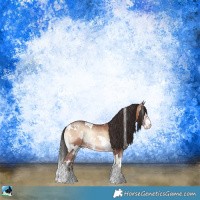 Horse Color:White Spotted Sable Champagne Onyx Sabino Rabicano 