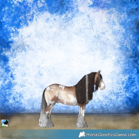 Horse Color:White Spotted Sable Champagne Onyx Sabino Rabicano