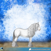 Horse Color:Black Ice Sabino Rabicano