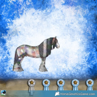 Horse Color:Nacre White Spotted Brown Onyx Sabino Rabicano 