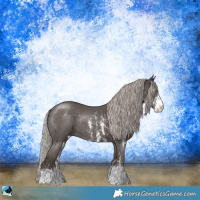Horse Color:Silver Black Sabino Rabicano 