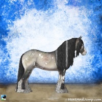 Horse Color:White Spotted Blue Onyx Ice Sabino Rabicano