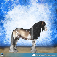 Horse Color:White Spotted Brown Onyx Sabino Rabicano 
