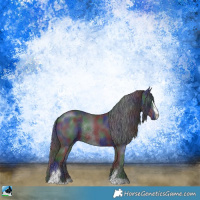 Horse Color:Nacre Black Sabino Rabicano 