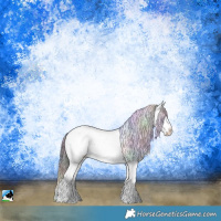 Horse Color:Nacre Black Ice Sabino Rabicano 