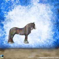 Horse Color:Nacre Black Sabino Rabicano 