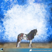 Horse Color:Nacre Black Sabino Rabicano
