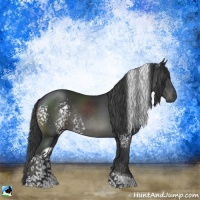 Horse Color:Platinum White Spotted Black Tobiano Rabicano