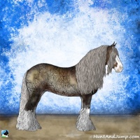 Horse Color:Silver Brown Ice Onyx Sabino Splash Rabicano