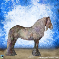 Horse Color:Nacre Chocolate Silver Blue Onyx Ice Sabino Rabicano 