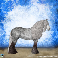 Horse Color:Chocolate Silver Brown Chinchilla Ice Dun Sabino Rabicano