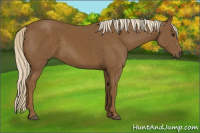 Horse Color:Chocolate Palomino 