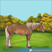Horse Color:Chocolate Palomino 