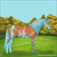 Horse Color:Thunderstruck Silver Buckskin Rabicano 