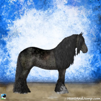 Horse Color:Black Ice Sabino Rabicano