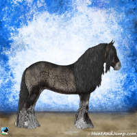 Horse Color:Blue Onyx Ice Sabino