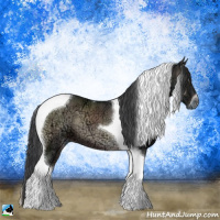 Horse Color:Blue Onyx Ice Tobiano 