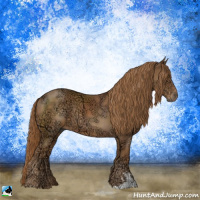 Horse Color:Chestnut Ice Sabino 