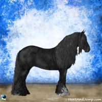 Horse Color:Black Ice Sabino 
