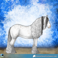 Horse Color:Brown Sabino Rabicano 