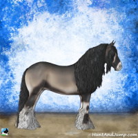 Horse Color:Blue Onyx Sabino
