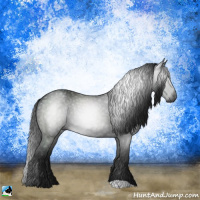 Horse Color:Gray Black Rabicano 