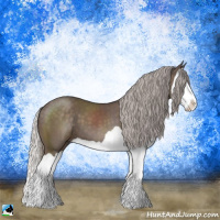 Horse Color:Silver Black Splash