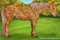 Horse Color:Chocolate Palomino 