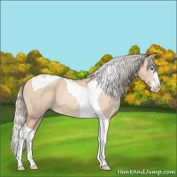 Horse Color:Silver Sable Champagne Dun Splash Tobiano 