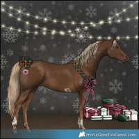 Horse Color:Chocolate Palomino Tobiano 