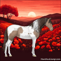 Horse Color:Classic Champagne Roan Tobiano Varnish 