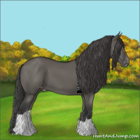 Horse Color:Grullo Varnish 