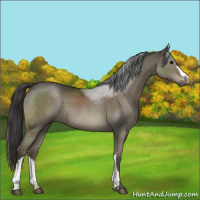 Horse Color:Smoky Grullo 